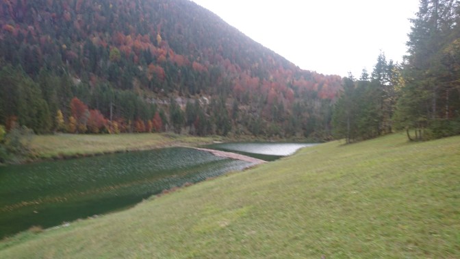 IMG_20191020_162944.jpg