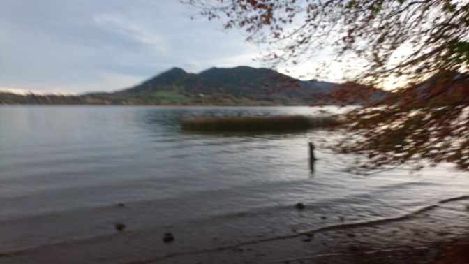 IMG_20191020_172300.jpg